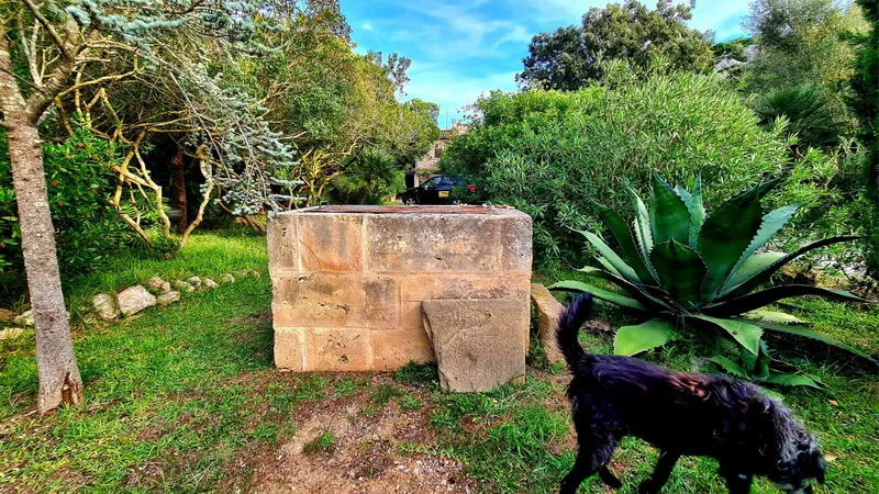 Property for those who appreciate peace and nature — photo 7