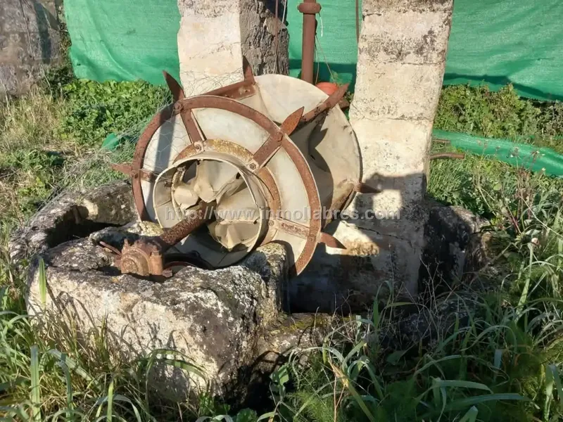 Te presento una encantadora propiedad rústica situada en el idílico pueblo de Petra, en las Baleares, España. Esta bonita finca se extiende  — photo 5