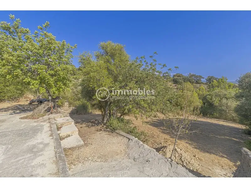 Rustic finca with beautiful views in Alaró — photo 6