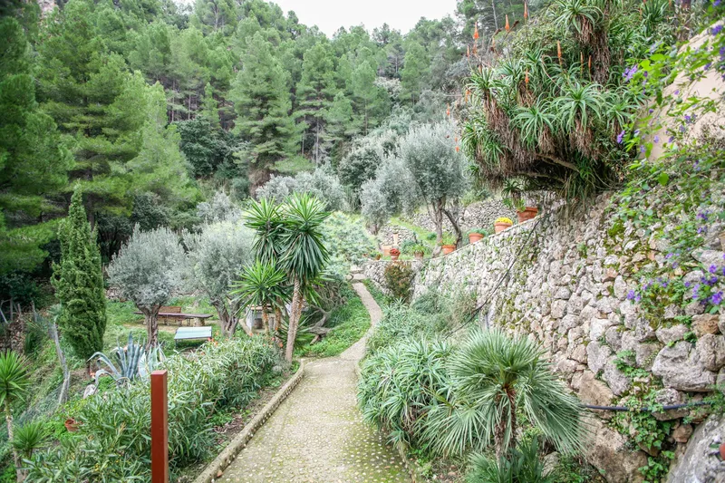 Ref. 2265C – Estellencs – Fantastic finca with impressive sea views — photo 6