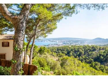 villa in Costa den Blanes, Calvia — photo 2