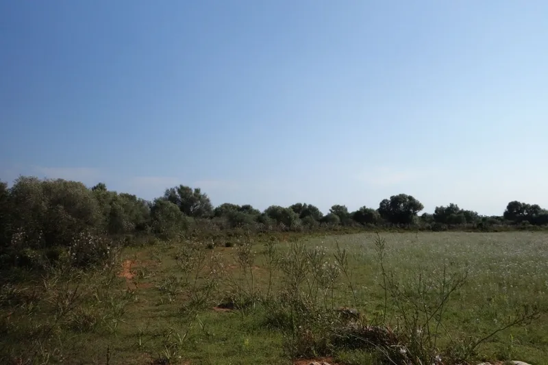 Large building plot near Santanyí with approved project and church views — photo 2