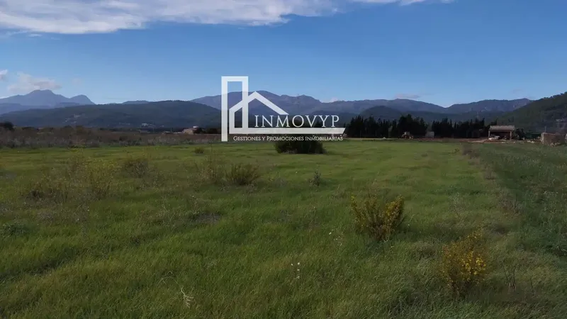 The price of 39,900 euros is for the 3 plots. — photo 4