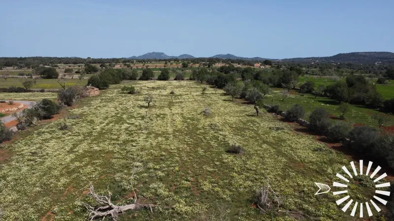 Country Estate for Sale in Santanyi of 18377 m2 — photo 6