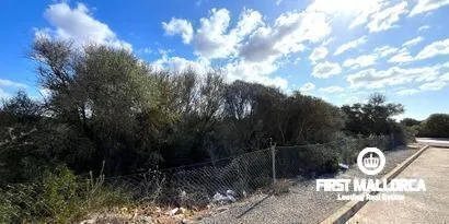 Real estate picture 0 Ref. No. 79284 — photo 4