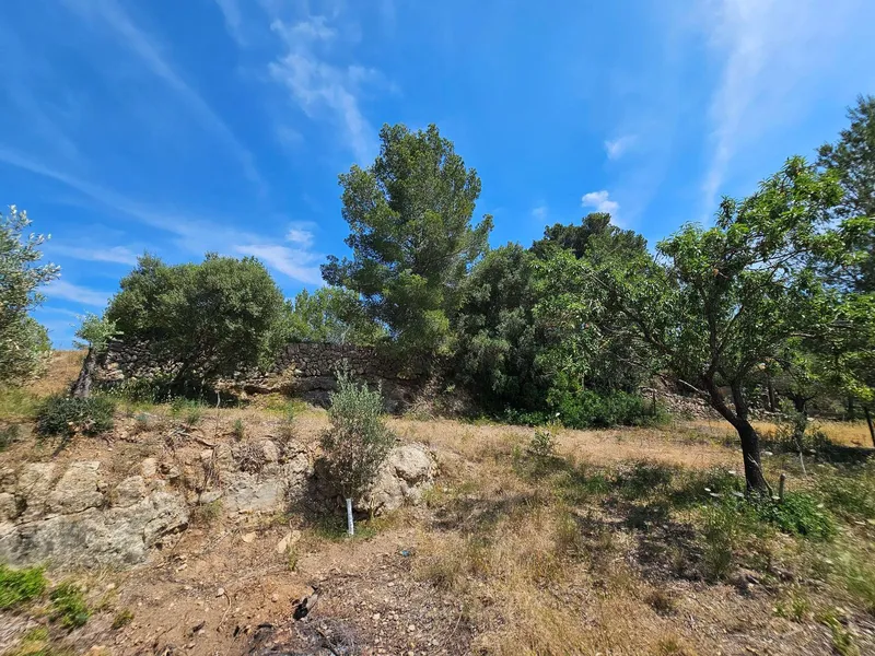 Quiet agricultural property in Calvià - 3,500 m² of nature, privacy and rural charm — photo 9