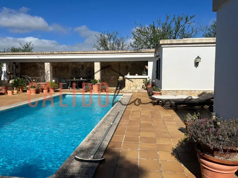 Exclusive! Urban estate for sale in Calvià, free, with single-family home and pool, in a quiet and natural environment. — photo 4