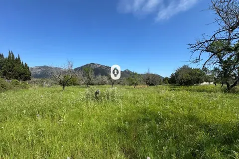 Land in Selva, Mallorca — photo 2