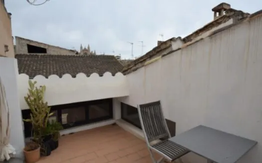 Duplex in La Lonja — photo 9