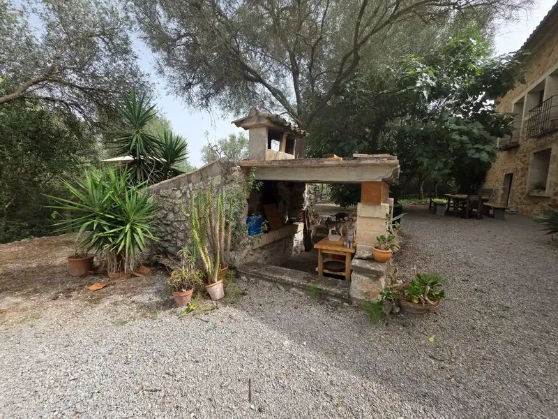 Beautiful rustic finca with pool in Pina — photo 9