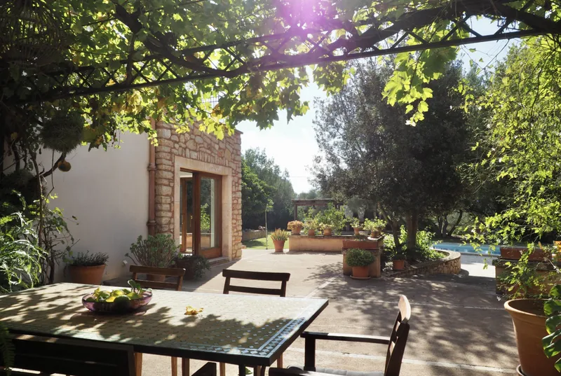 Estate with olive plantation in Cas Concos — photo 5