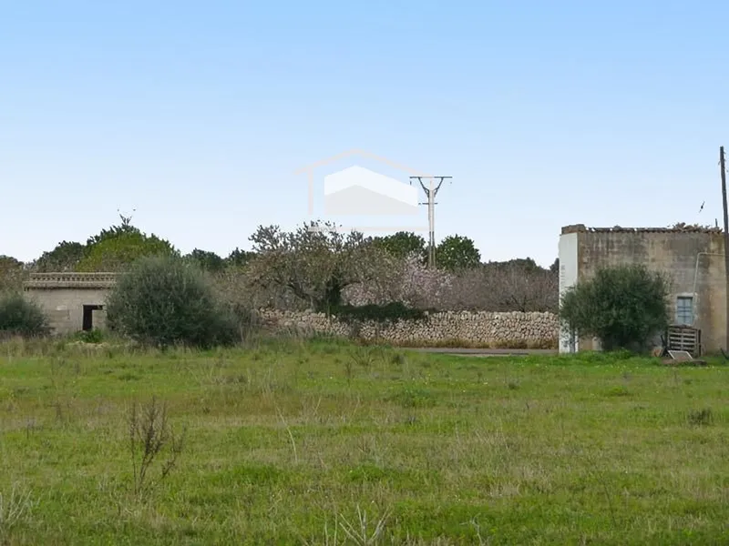 Rustic finca for sale in Ses Salines with 15,000 m2 — photo 3