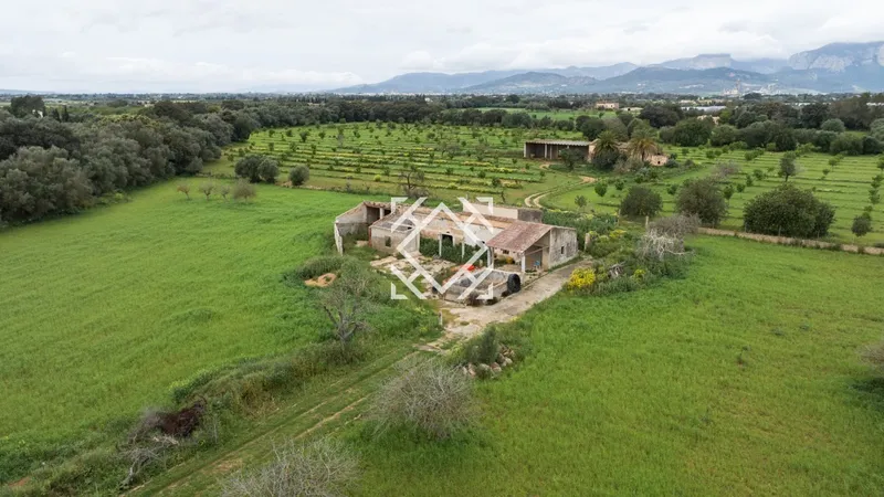 Exclusive rustic finca for sale in Binissalem, Mallorca — photo 2