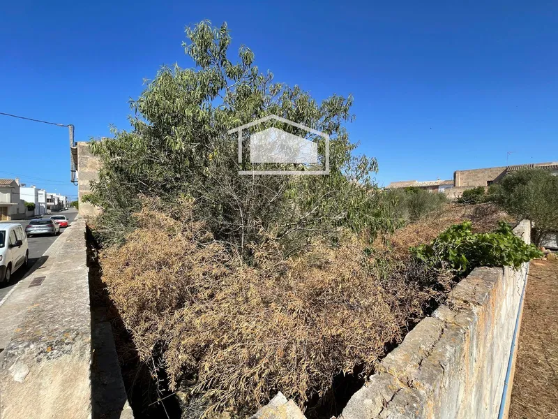 Urban developable plot of 297 m² in Ses Salines — photo 4