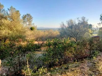 Rural Land - Porreres (Porreres) — photo 2