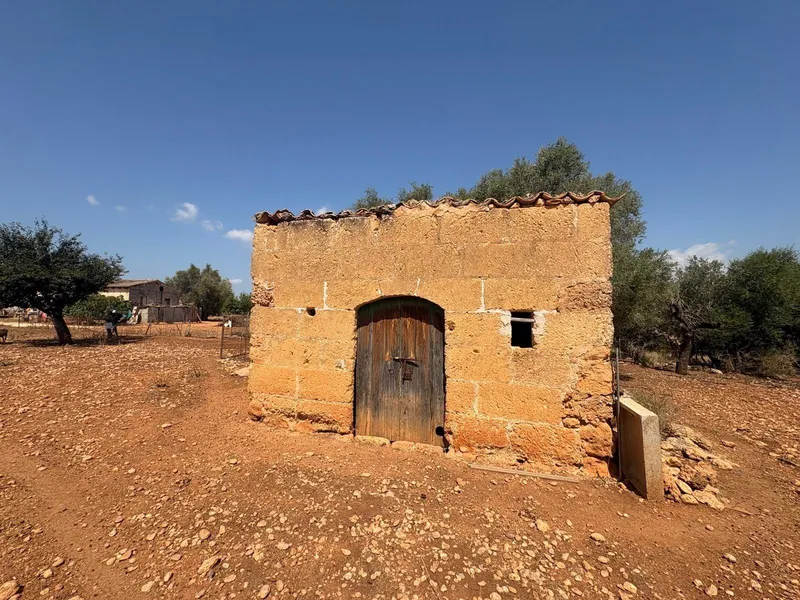 FINCA RUSTICA CON CASITA AGRARIA DE UNOS 34M2 CON CISTERNA — photo 4