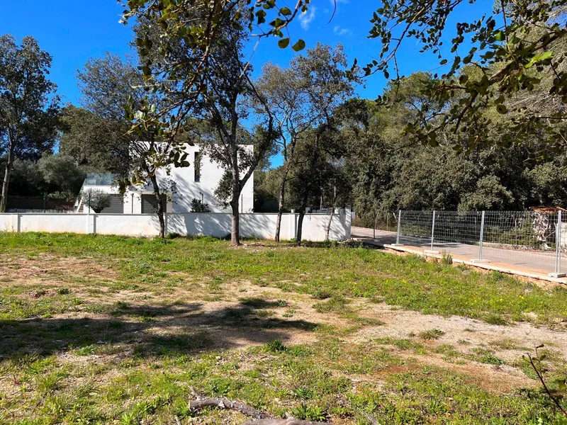Plot of 1,100 m2 in Crestatx for a single-family home — photo 4
