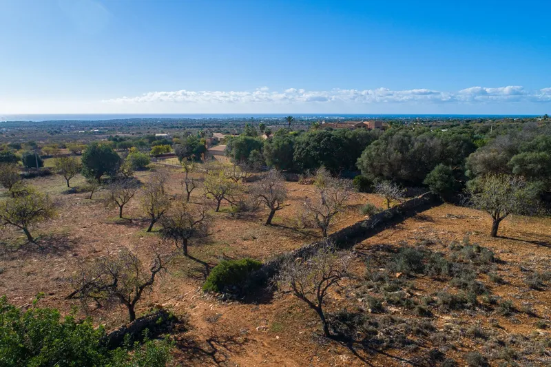 Buildable plot near S'Horta with approved finca project and sea views — photo 5
