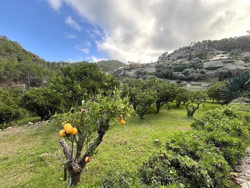 Finca in Banyalbufar, Mallorca — photo 12