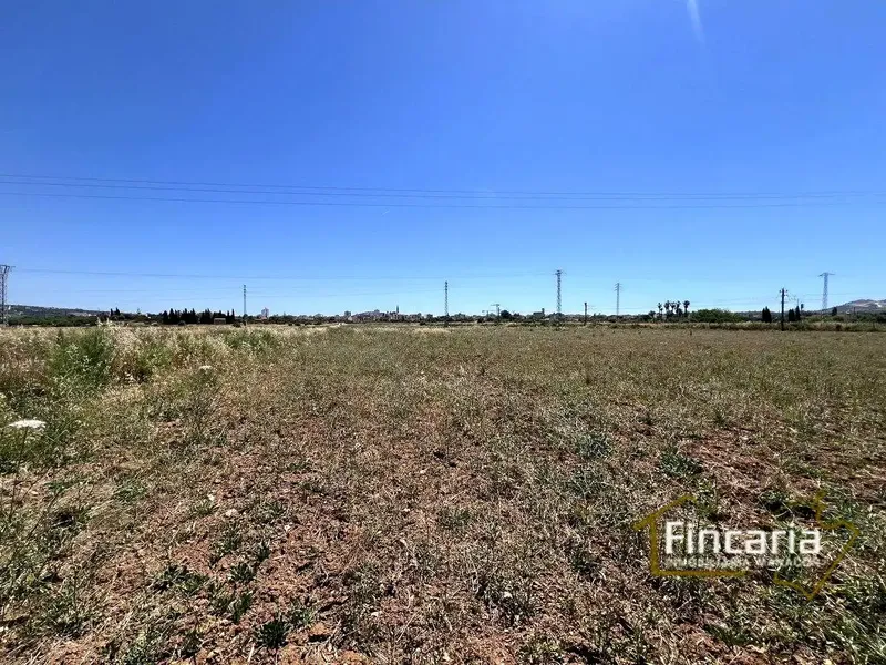 Sensational agricultural warehouse to renovate located in the Es Poas area, 300 meters from the town of Manacor. 40 m2 warehouse — photo 7