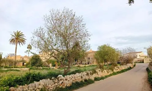 Building Site - Santanyí (Alquería Blanca - Calonge) — photo 1