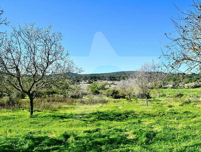 Building plot in a great location — photo 2