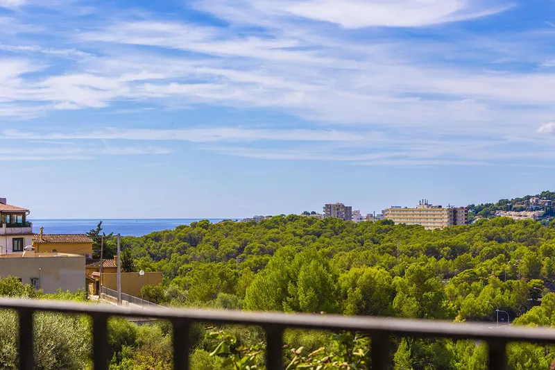 Majestic villa with pool and garden near Palma for rent — photo 5