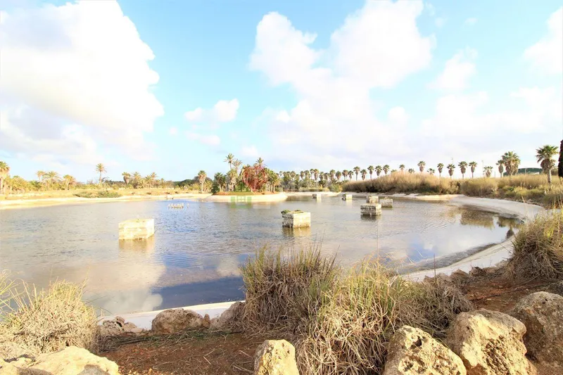 House for sale – Ses Salines (Mallorca) — photo 7