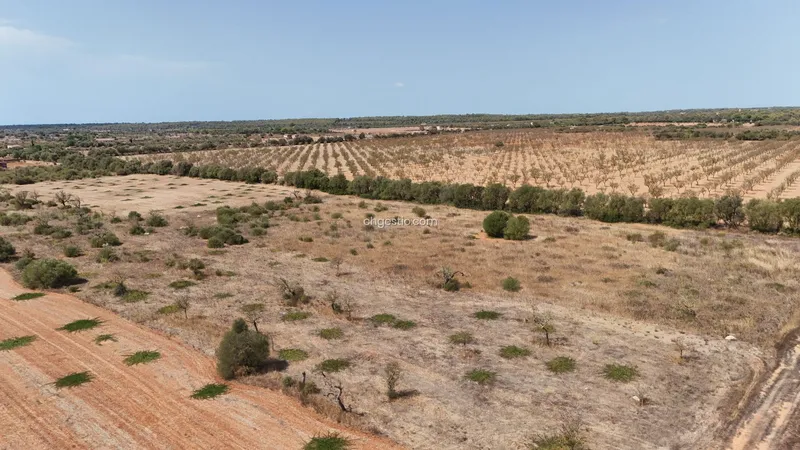Finca rústica en Campos — photo 2