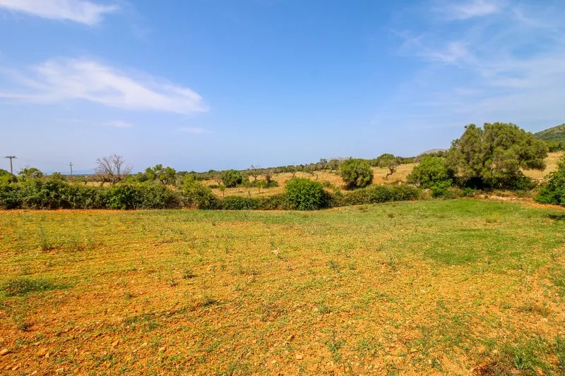 Discreet Listing - Exceptional Ecological Estate near Manacor — photo 5