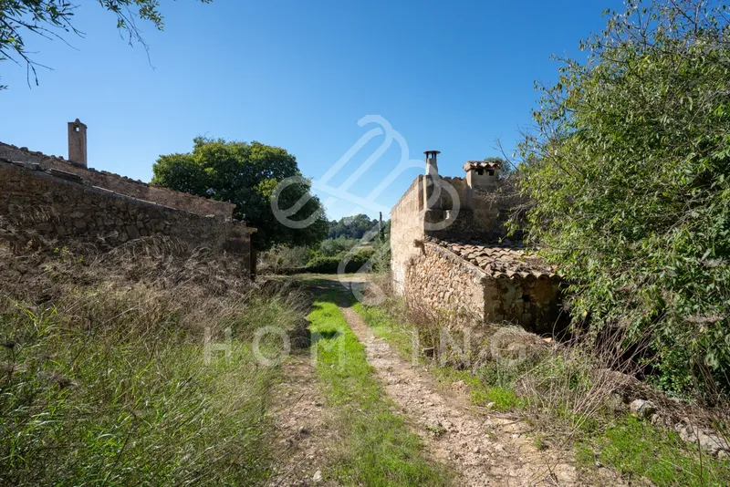 Rustic estate of 252,000 m2 from 1800, with house to renovate. — photo 1