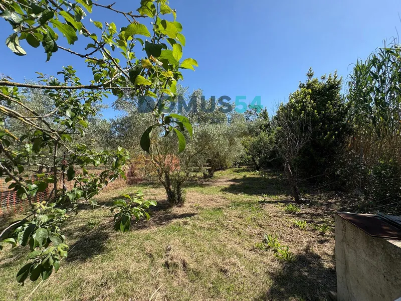 Unbuildable rural land with a shed in Sa Pobla — photo 7