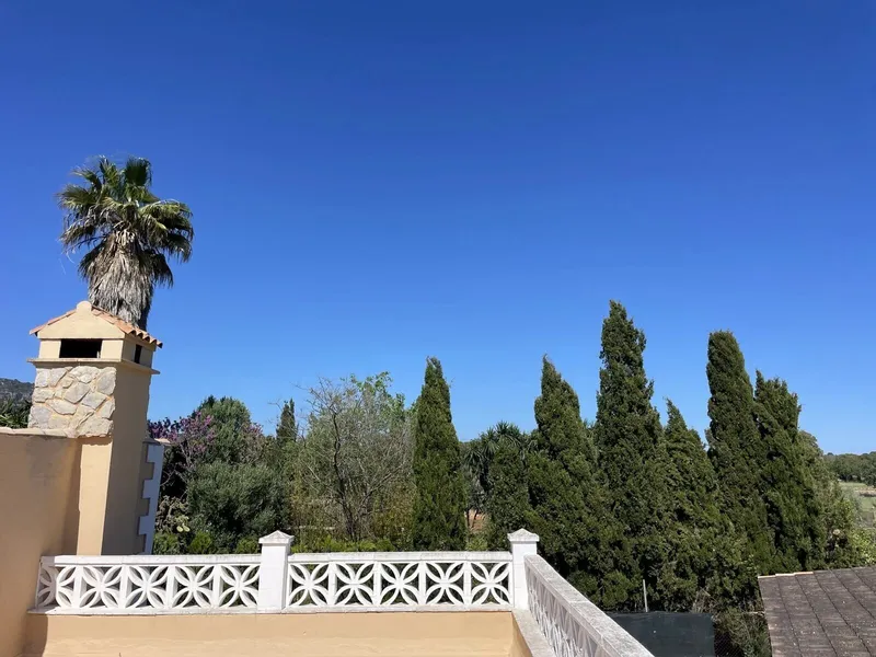 Finca with guest house in a quiet area, not far from Llucmajor — photo 9