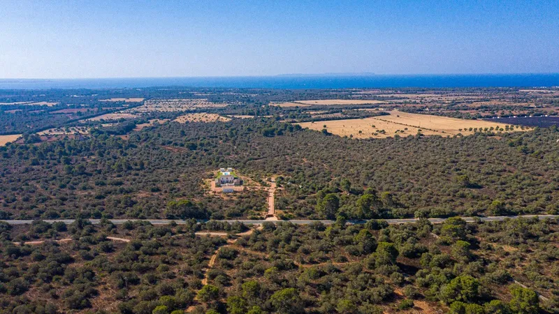 230,000 m2 plot in Llucmajor with project and sea views — photo 1