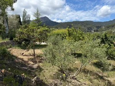 Urban Plot of Land - Puigpunyent (Puigpunyent) — photo 3