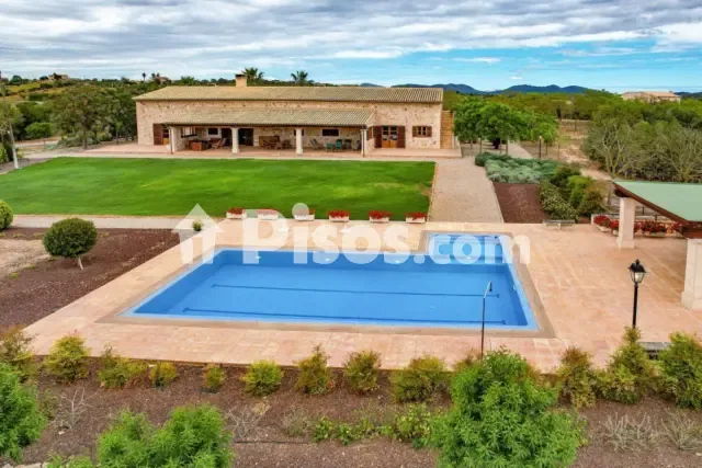 Rustic finca in Manacor — photo 1