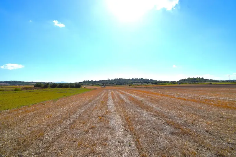 Set of plots totaling 19,622 m2, with the possibility of building a house in a privileged natural environment in Muro — photo 3