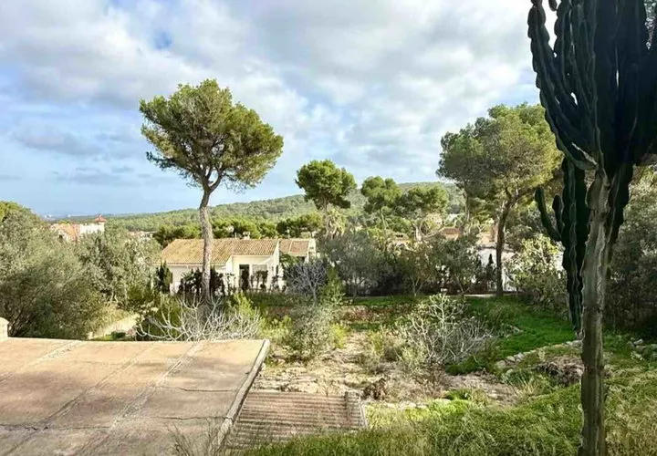 Land in El Toro, Mallorca — photo 12