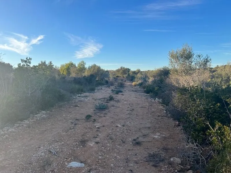 Fantastic land of about 50,000m2 with license to build a few minutes from the beach of [...] — photo 2