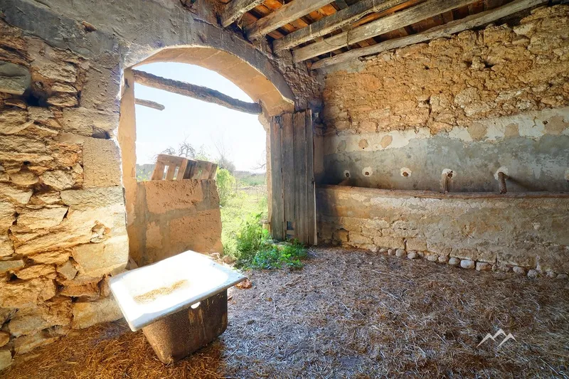 Rustic Estate of 44,771 m2 in Binissalem — photo 12