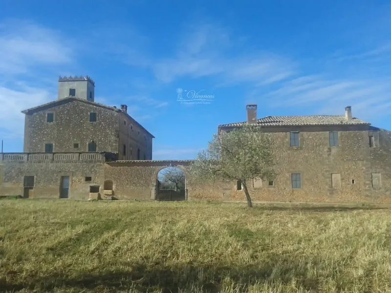 Impressive 18th Century Estate in Algaida — photo 4