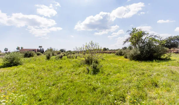 Sea-view plot just 10 minutes from Porto Cristo — photo 6