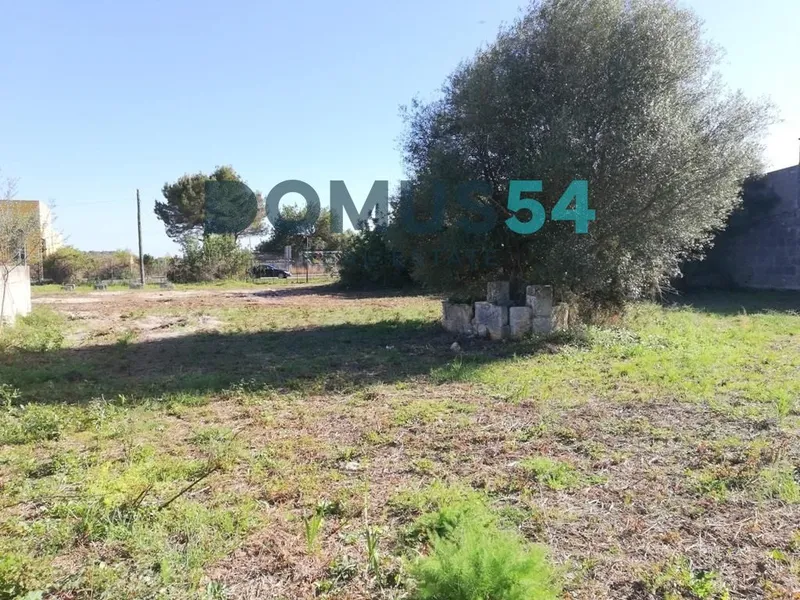 Rustic land not for building in Campanet — photo 7