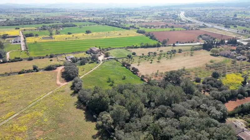 Rural or Farmhouse in Algaida, Province of Balearic Islands — photo 7