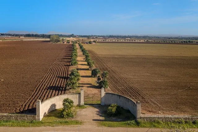 Enormous Mallorca country property with investment potential for sale in Llubí, Mallorca — photo 6