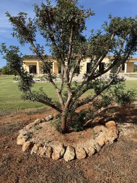 Exclusive move-in ready newly built villa near Llucmajor — photo 2