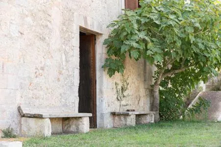 Rustic property - Sineu (Área de Sineu), Built Surface 1407m2, Plot Surface 200000m2, 5 Bedrooms, 4... — photo 6