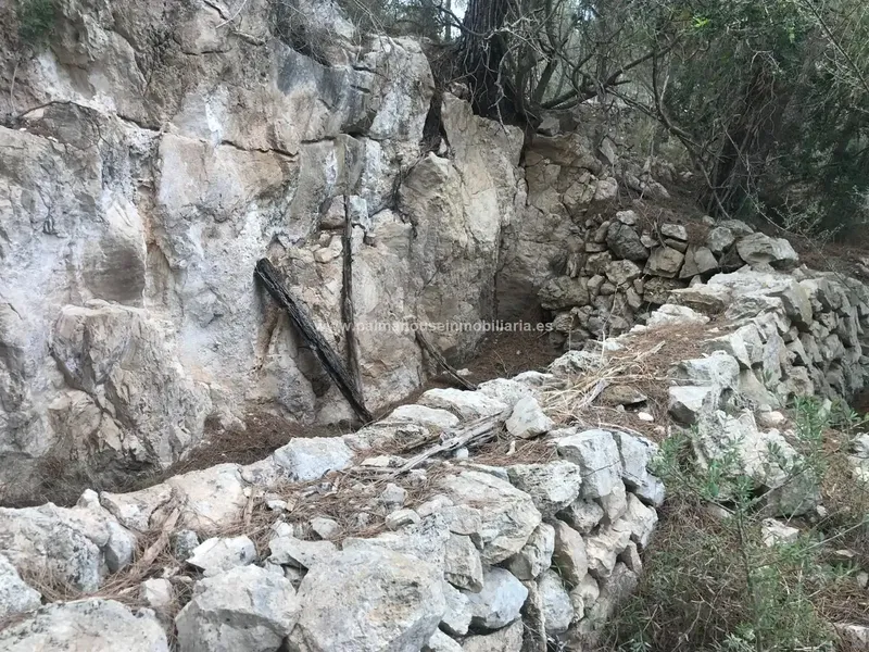 Old house surrounded by nature and with many possibilities!! Palma House Inmobiliaria offers you this spectacular rustic plot of about — photo 8
