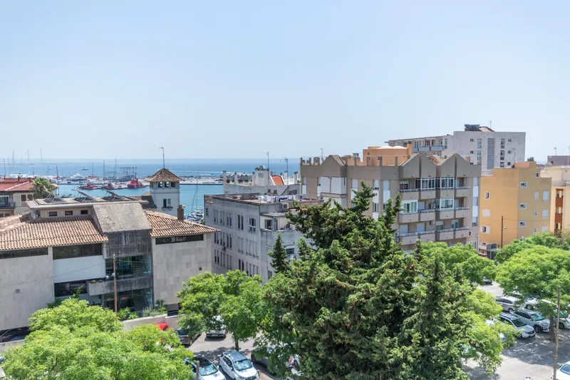 Excellent new-build penthouse with rooftop terrace and private pool in Son Armadams — photo 5