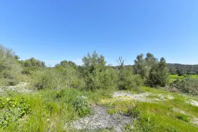 Plot in Sant Joan — photo 1